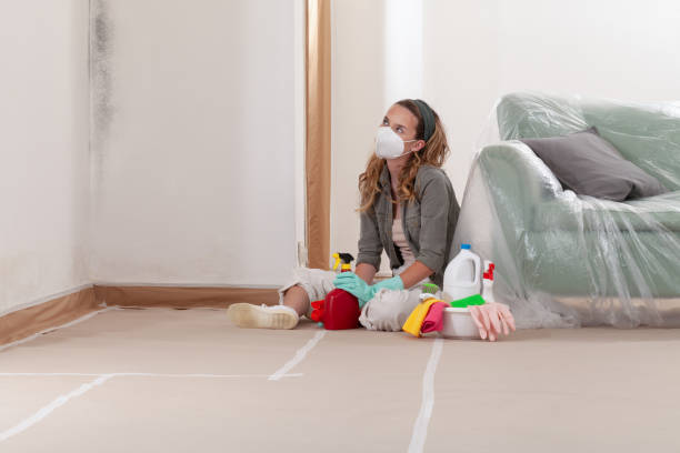 Reliable Mold Remediation contractor in Schellsburg, PA by WQB Mold Removal
